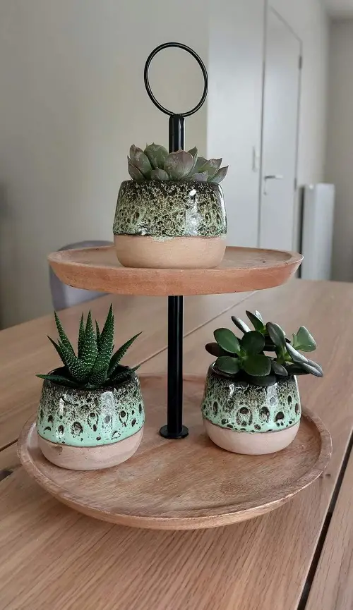 Succulent arrangement ideas 3