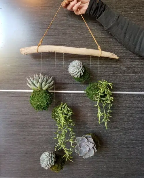 Succulent Decorating Ideas 3