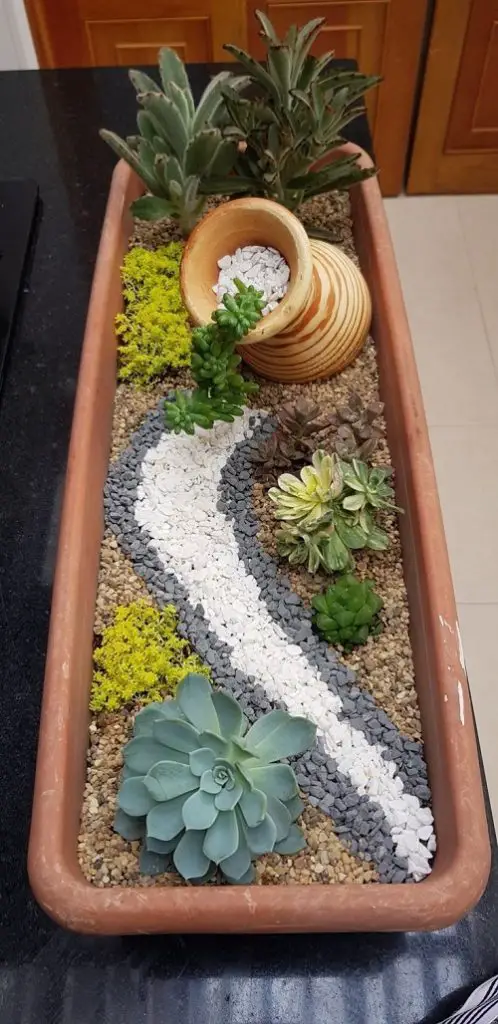 Succulent Decorating Ideas 5