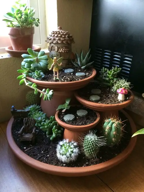 Succulent arrangement ideas 4