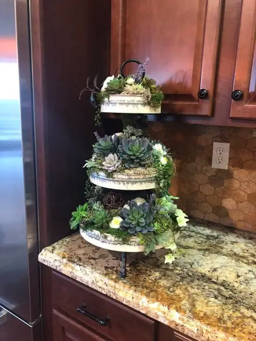 Unexpected Places to Display Succulents 1