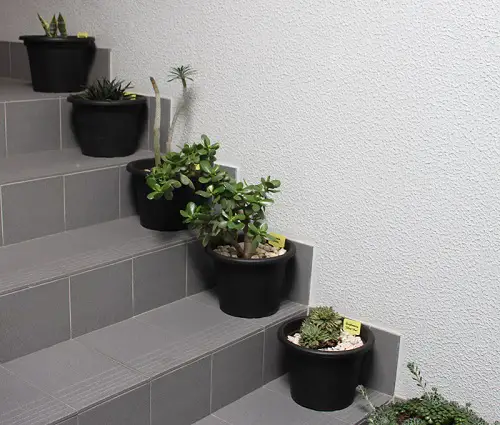 inspiring Places to Display Succulents 3