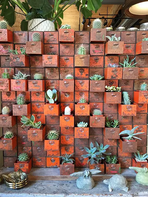 Stunning Places to Display Succulents 2