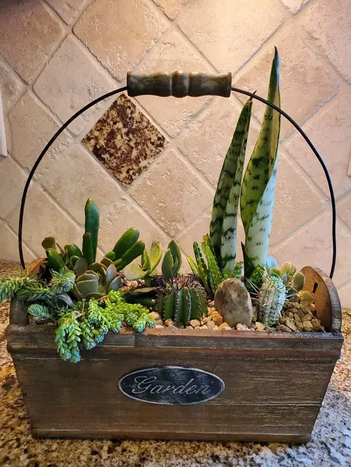 wooden planter with handle for mini succulents