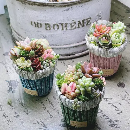 little baskets for mini succulents arrrangement