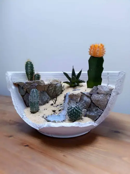 diy planter for mini succulents arrangement