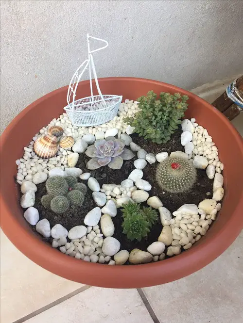 mini succulent display using stones