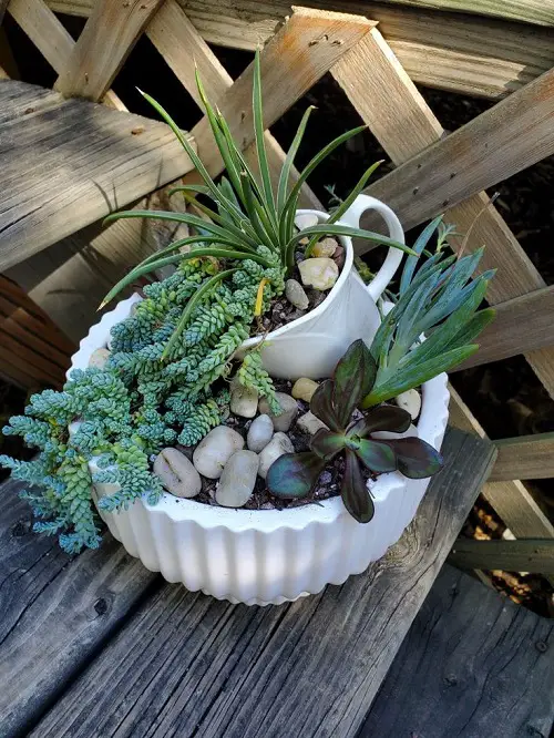 cup and pot mini succulent planter