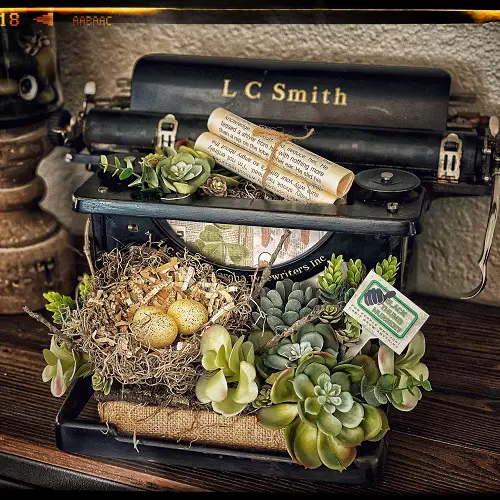 Top succulent garden in antique items 4