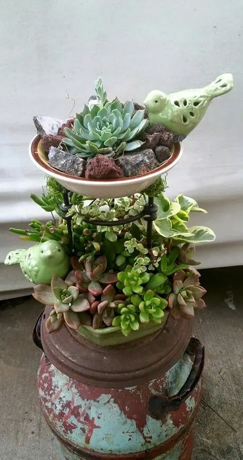 New succulent garden in antique items 3