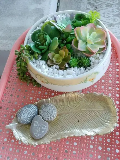 DIY Succulent Garden 10