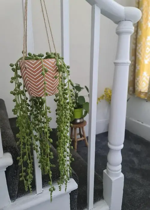 Best Places to Hang Your String of Pearls 3