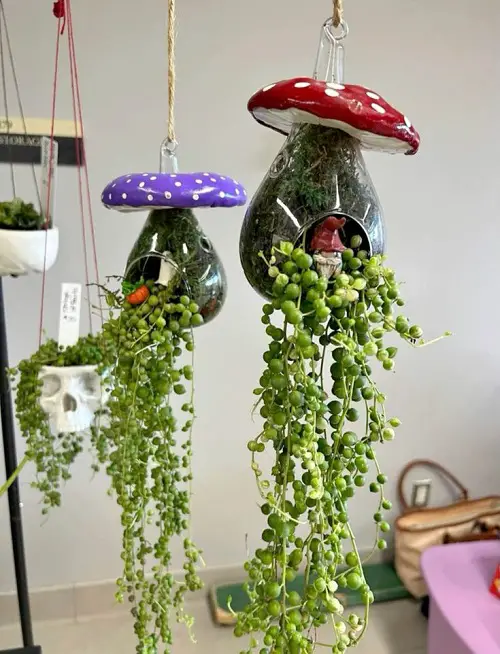 Best Places to Hang Your String of Pearls 5