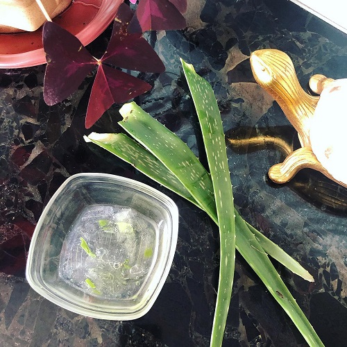 aloe vera uses 4