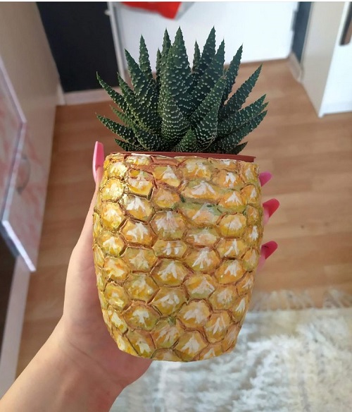 Beautiful Succulent Arrangement in Unique Things 4