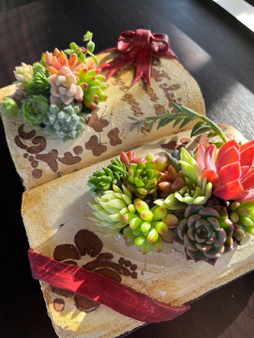 Beautiful Succulent Arrangement in Unique Things 5
