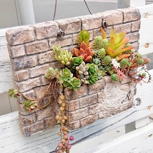 Beautiful Succulent Arrangement in Unique Things 8