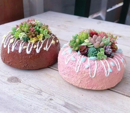 Beautiful Succulent Arrangement in Unique Things 9