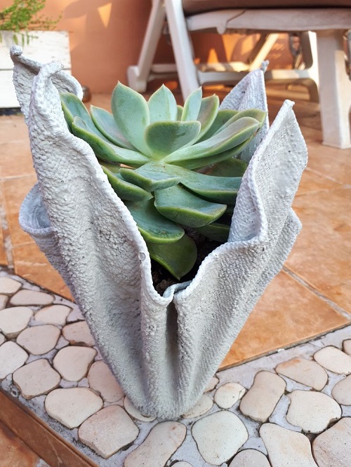 Stunning Succulent Arrangement in Unique Things 1