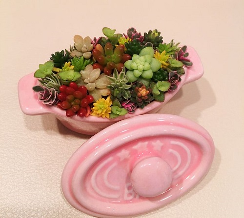 Stunning Succulent Arrangement in Unique Things 2
