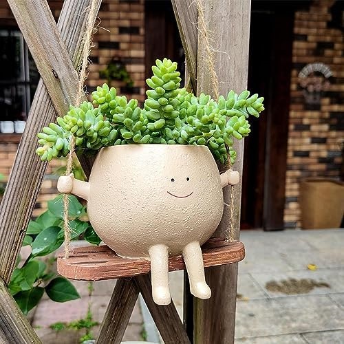 Succulent Arrangement in Unique Things 4