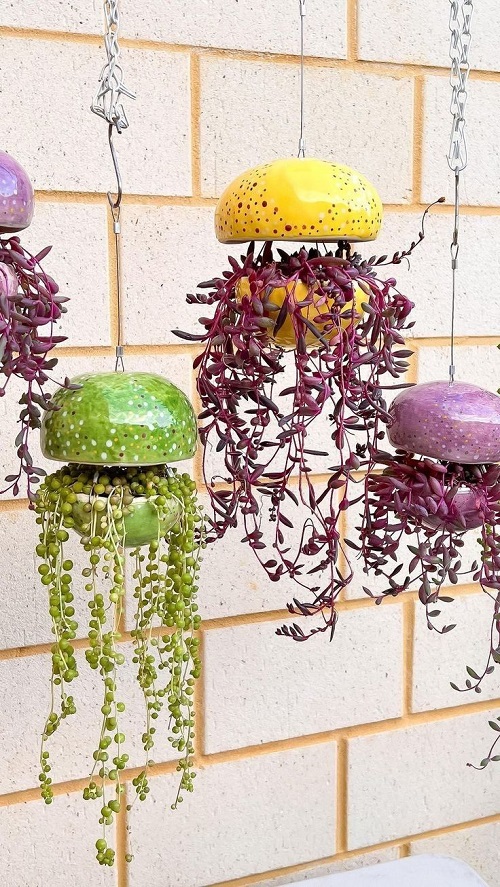 Beautiful Succulent Arrangement in Unique Things 3