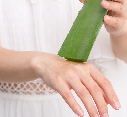 benefits of alovera for health 2
