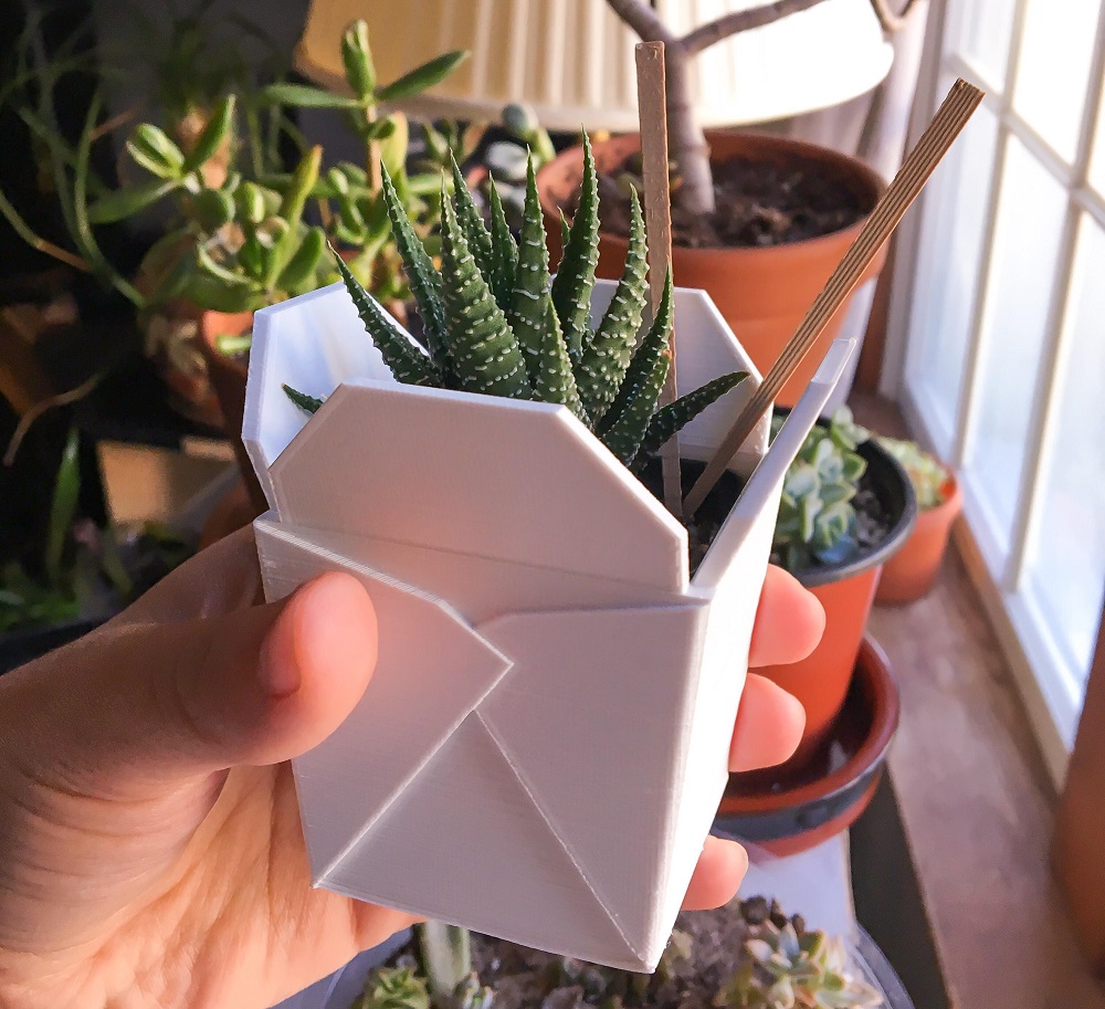 Chopstick Trick for succulents 1