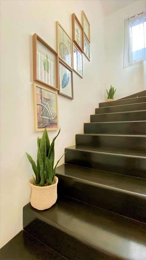 New snake plant arrangement idea 2