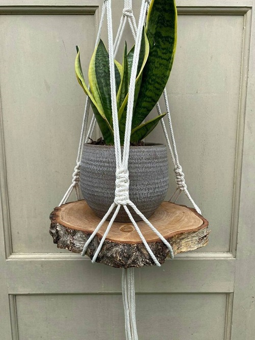 snake plant arrangement idea 6