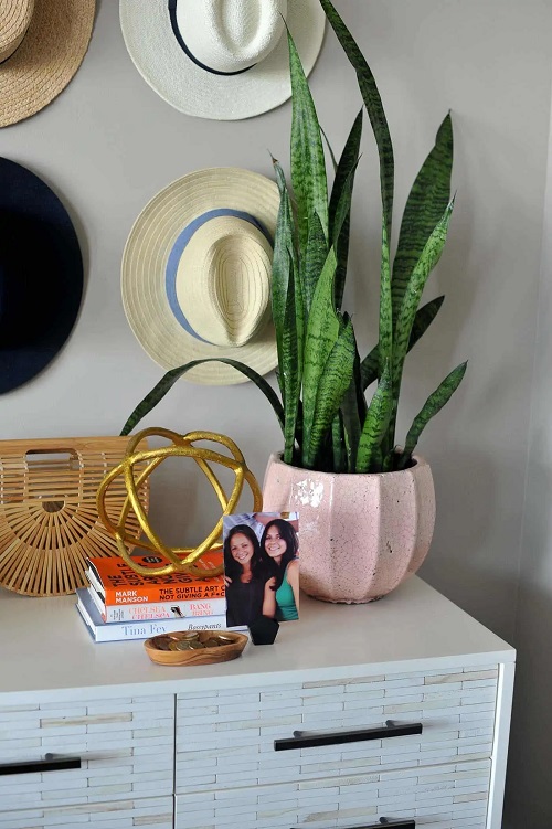 snake plant arrangement ideas 1