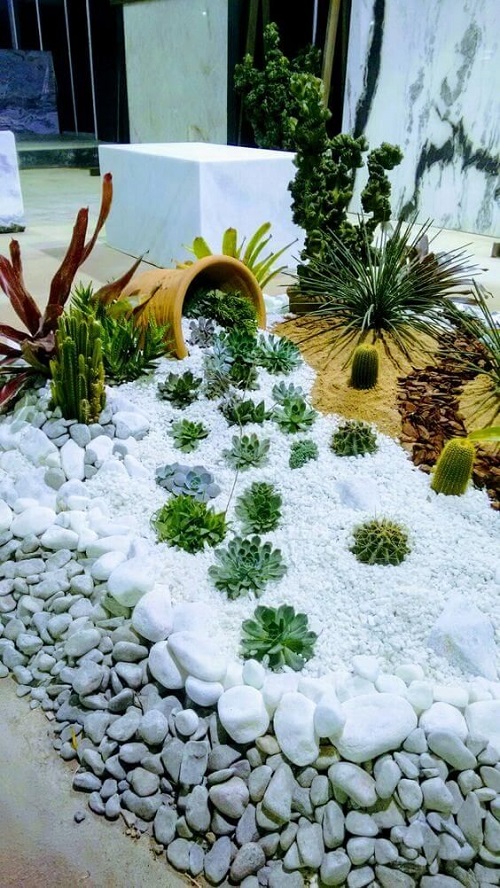 Succulent Spilled Pot in the garden 5