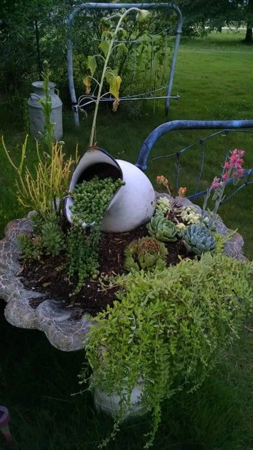 flowers Spilled Pot in the garden