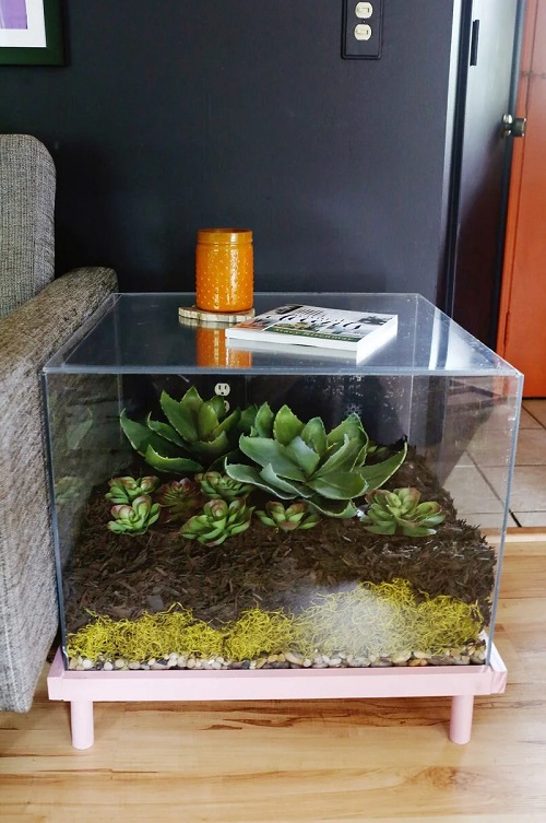 Succulent Aquarium Ideas 2