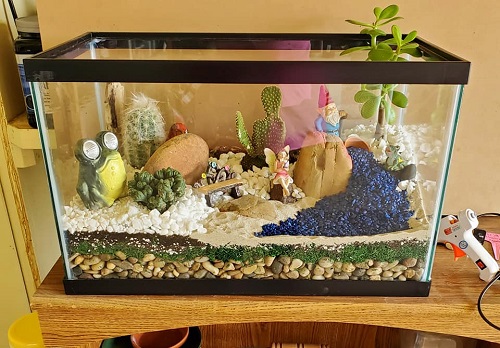 Succulent terrarium