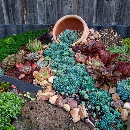 Succulent Spilled Pot Ideas 3