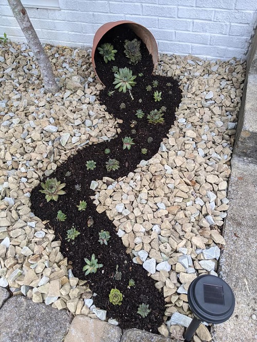 Succulent Spilled Pot Ideas 5