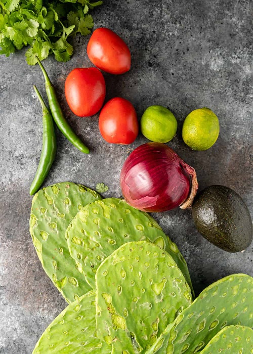 Succulent Dishes You Can Make At Home