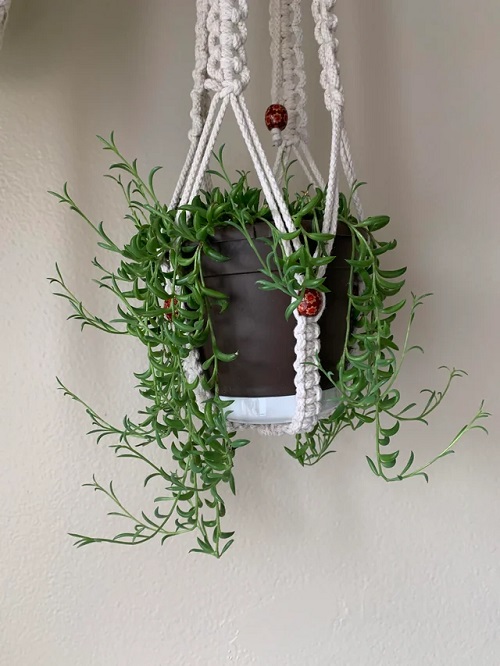 String of Banana Display Ideas 1