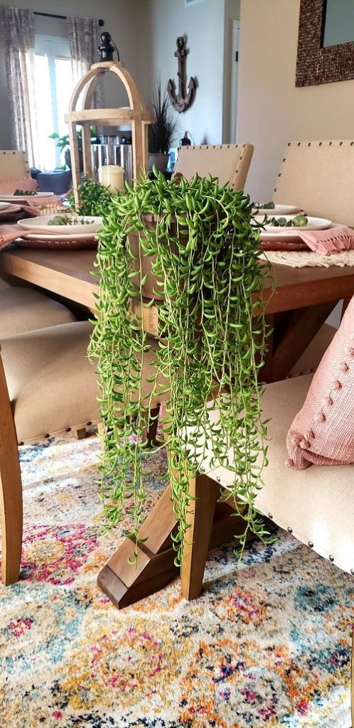 Inspiring arrangements of String of Banana 2