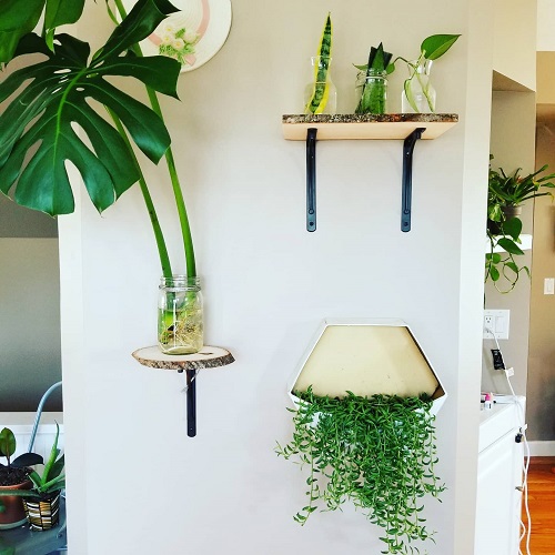 String of Banana Display Ideas 6