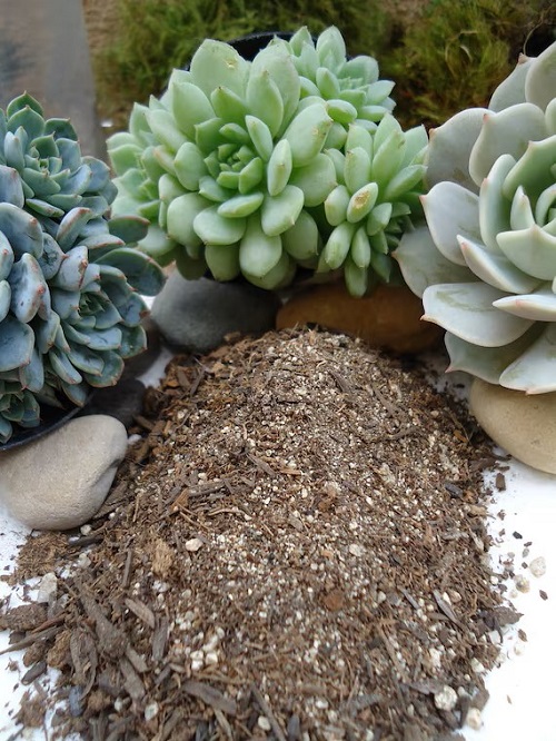 Pay Attention to the Soil Mix