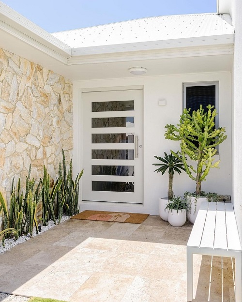 Snake Plant outdoor 5