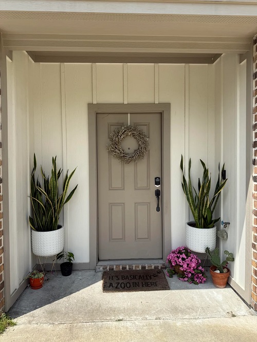 Snake Plant In Entrance Ideas 2