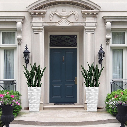 Snake Plant In Entrance Ideas 3