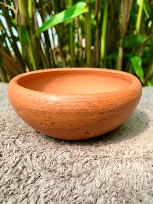 How to Make a Compact Succulent Fill the Whole Pot in Weeks 5