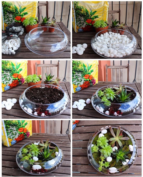 Easy Succulent Terrarium Tutorial for Beginners 3