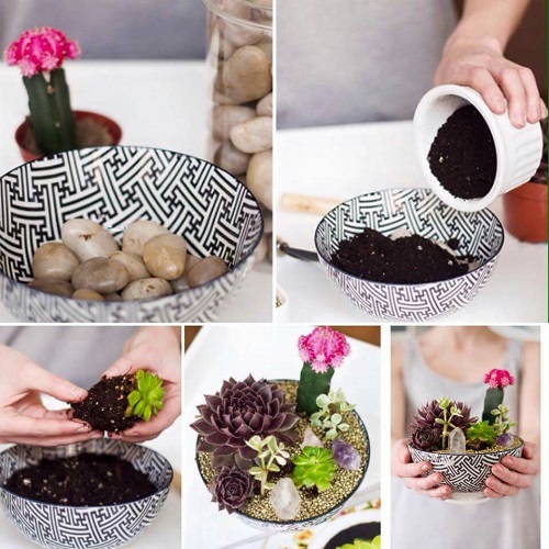 Easy Succulent Terrarium Tutorial for Beginners 2