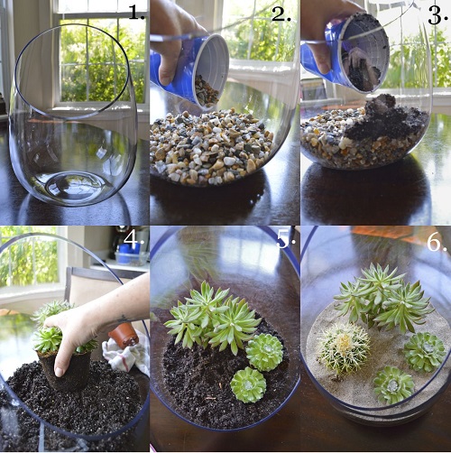 Easy Succulent Terrarium Tutorial for Beginners 1