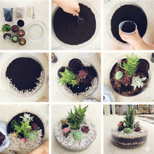 Easy Succulent Terrarium Tutorial for Beginners 6